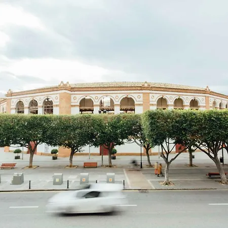 Lägenhet Cse Paseo De Reding Málaga